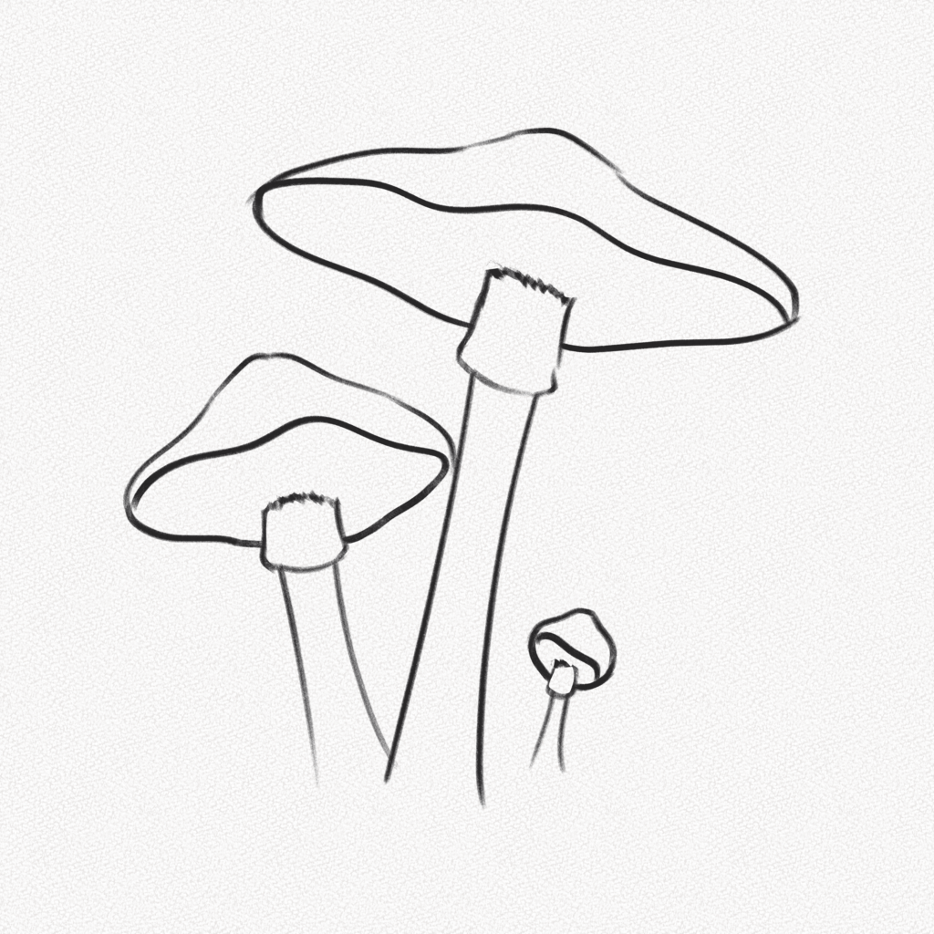 How to Draw A Mushroom – Step-by-Step Art Tutorial – Artlex